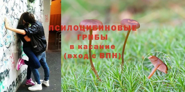 кокаин премиум Богданович