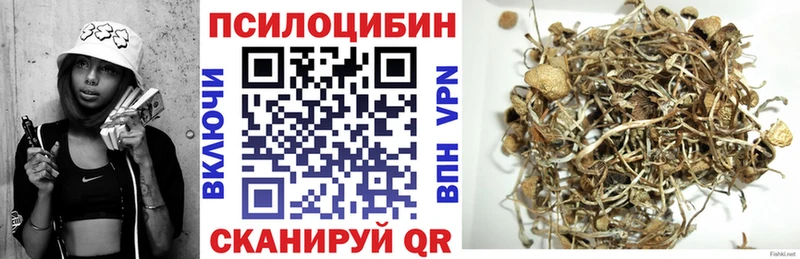 Псилоцибиновые грибы Psilocybine cubensis МЕГА онион Гаврилов-Ям