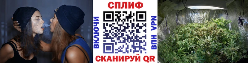 дарнет шоп blacksprut ТОР Шишки марихуана Amnesia Гаврилов-Ям